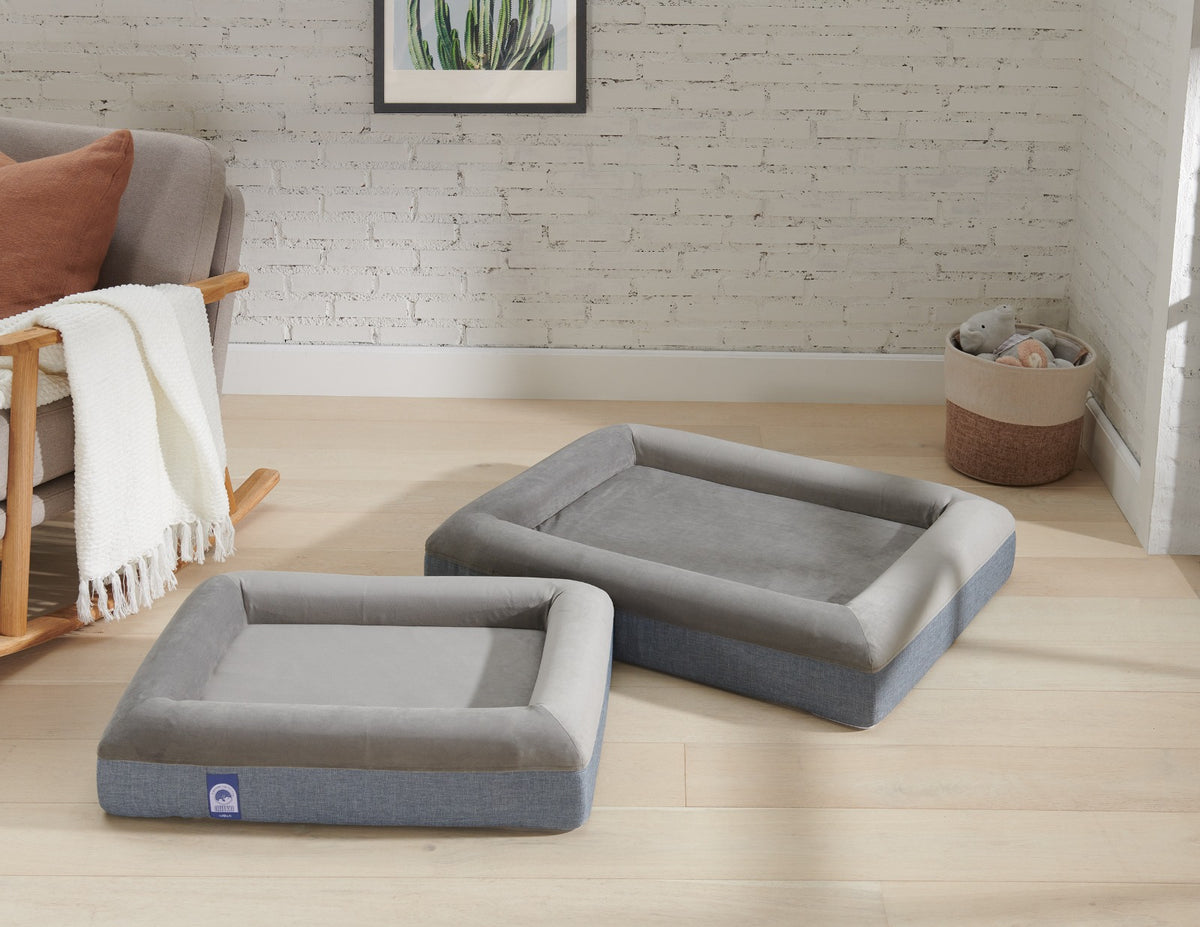 Chiko Premium Foam Pet Bed – Removable & Washable Cover
