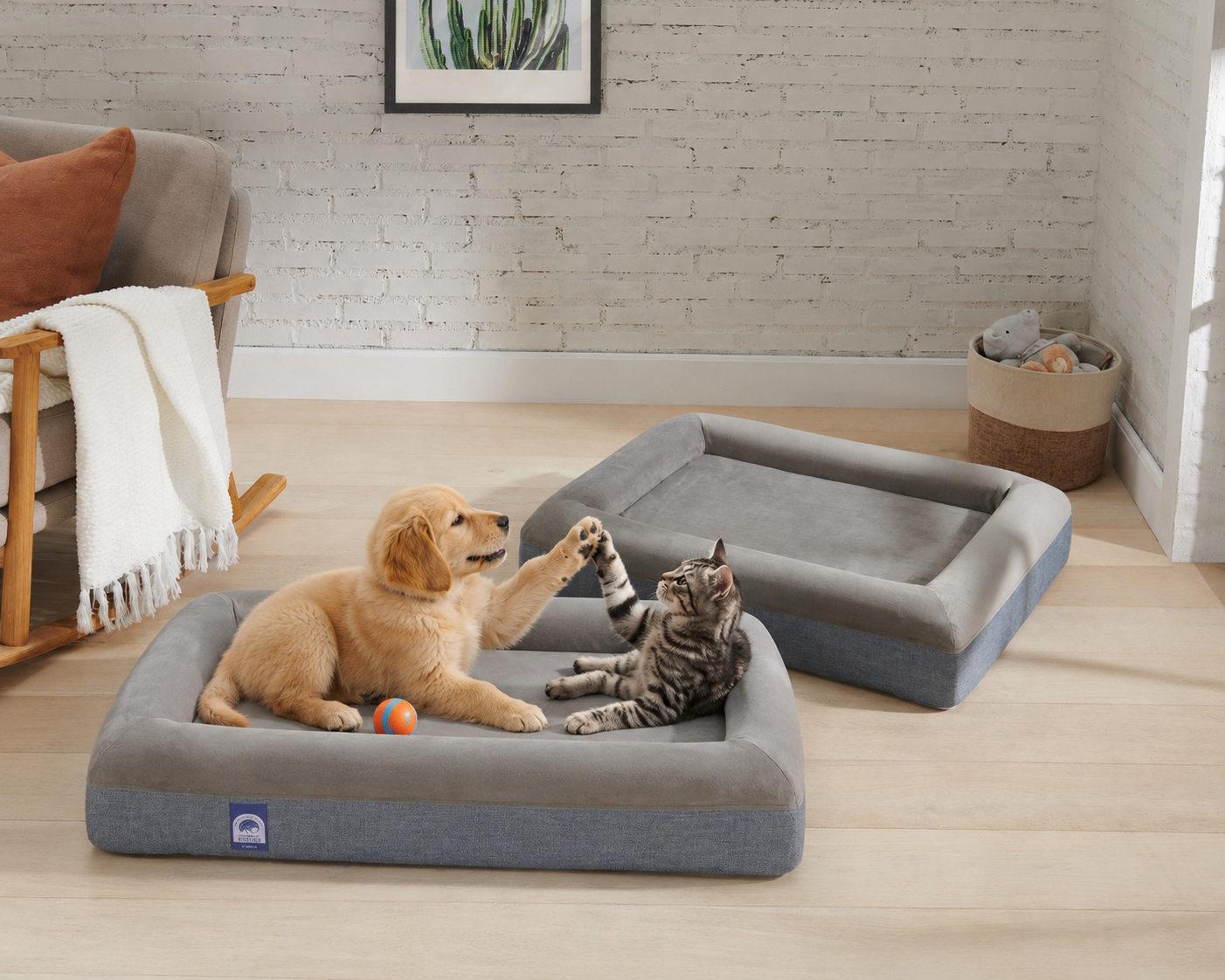 Chiko Premium Foam Pet Bed – Removable & Washable Cover